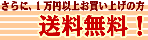 �����߰ʾ�θ���夲������̵����