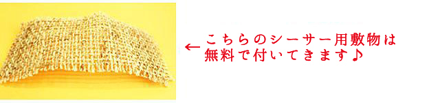 招福シーサーメイン３